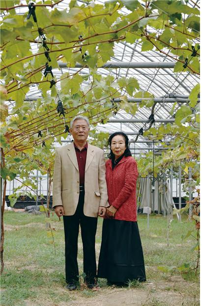 행복한 포도나무가 자라고 있어요